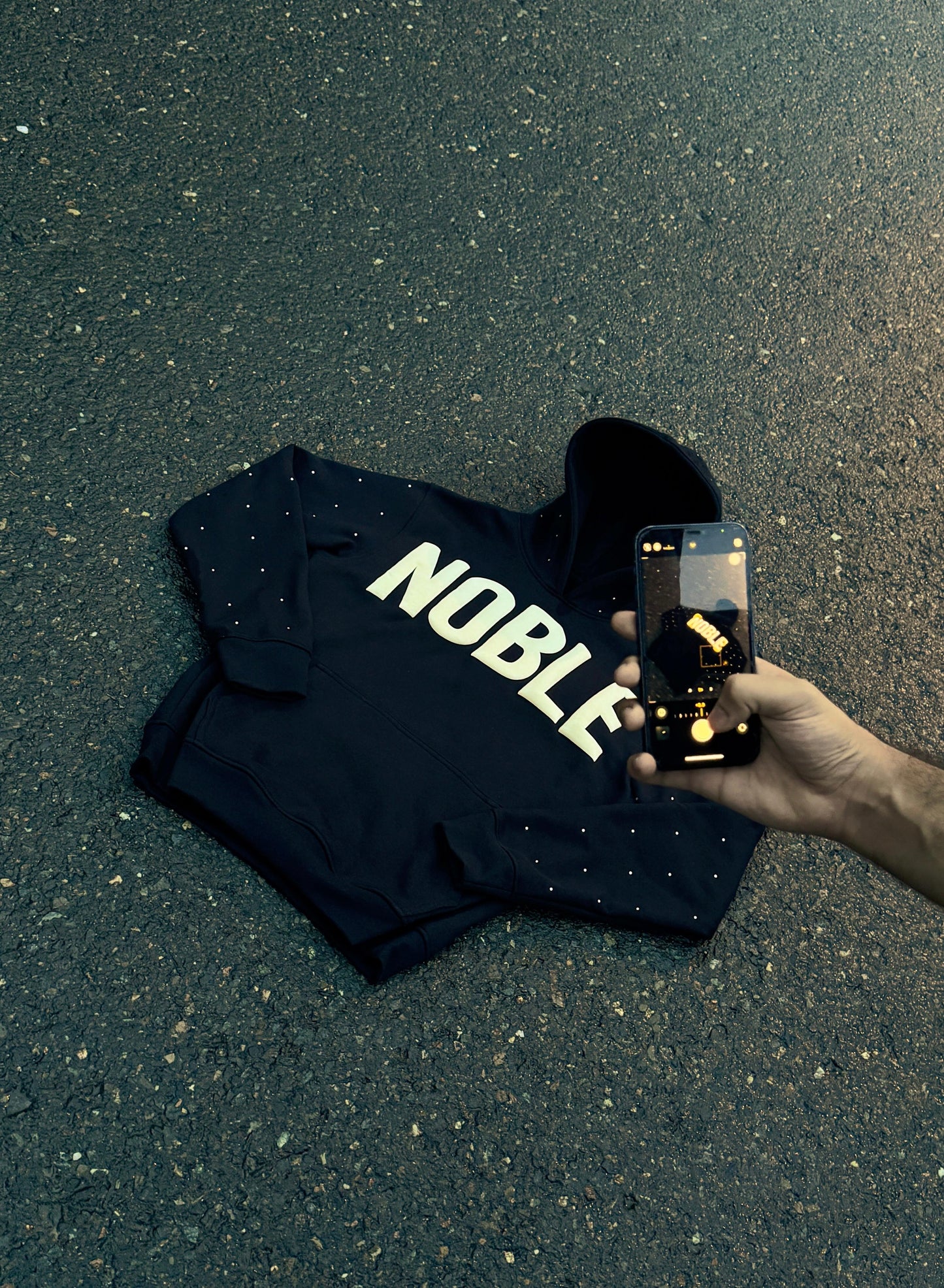Noble Rhinestone hoodie